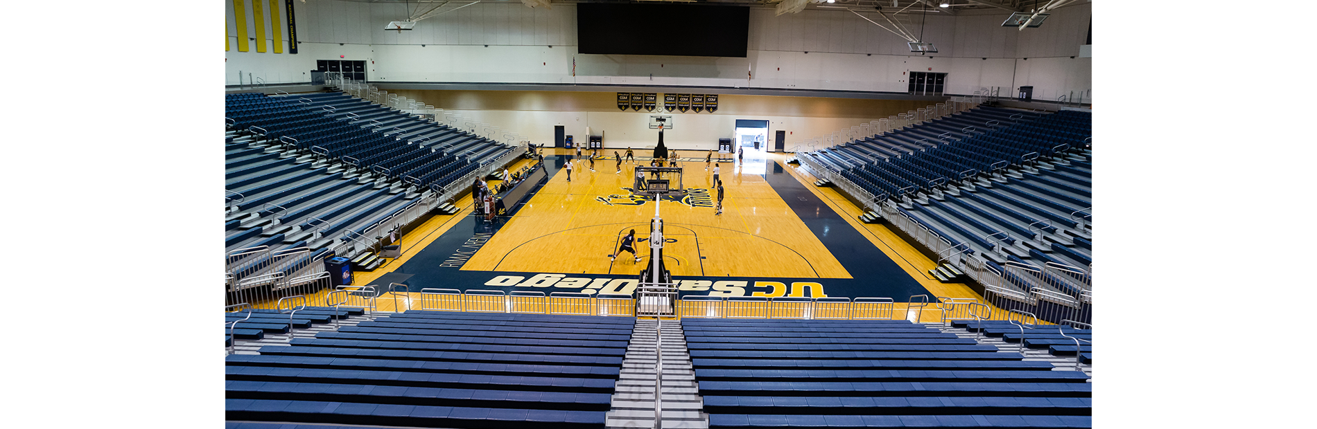 LionTree Arena